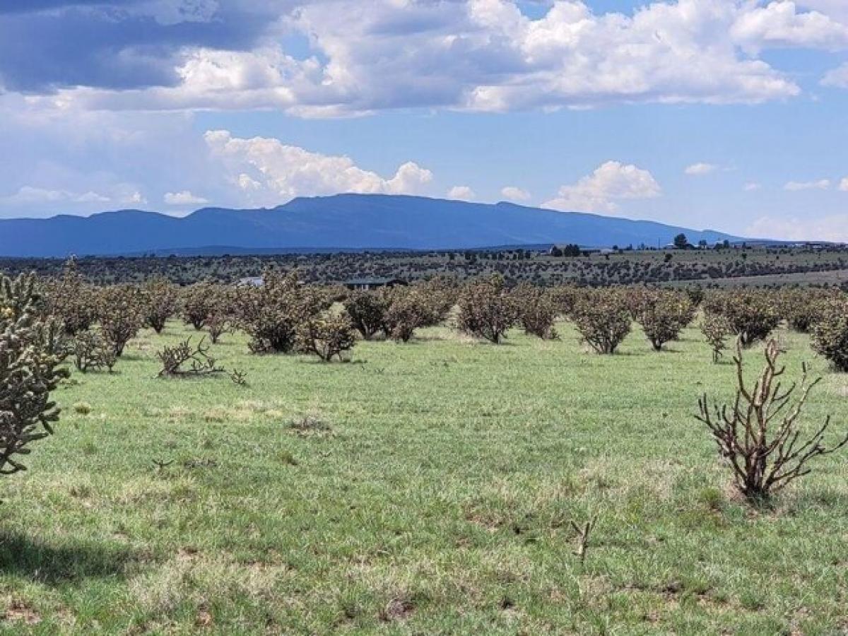 Picture of Residential Land For Sale in Edgewood, New Mexico, United States