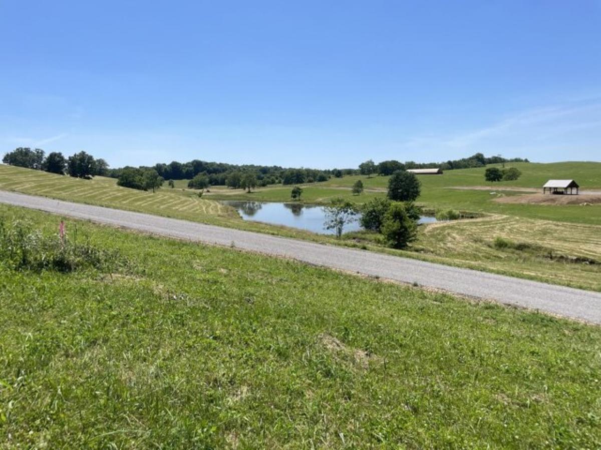 Picture of Residential Land For Sale in Cynthiana, Kentucky, United States