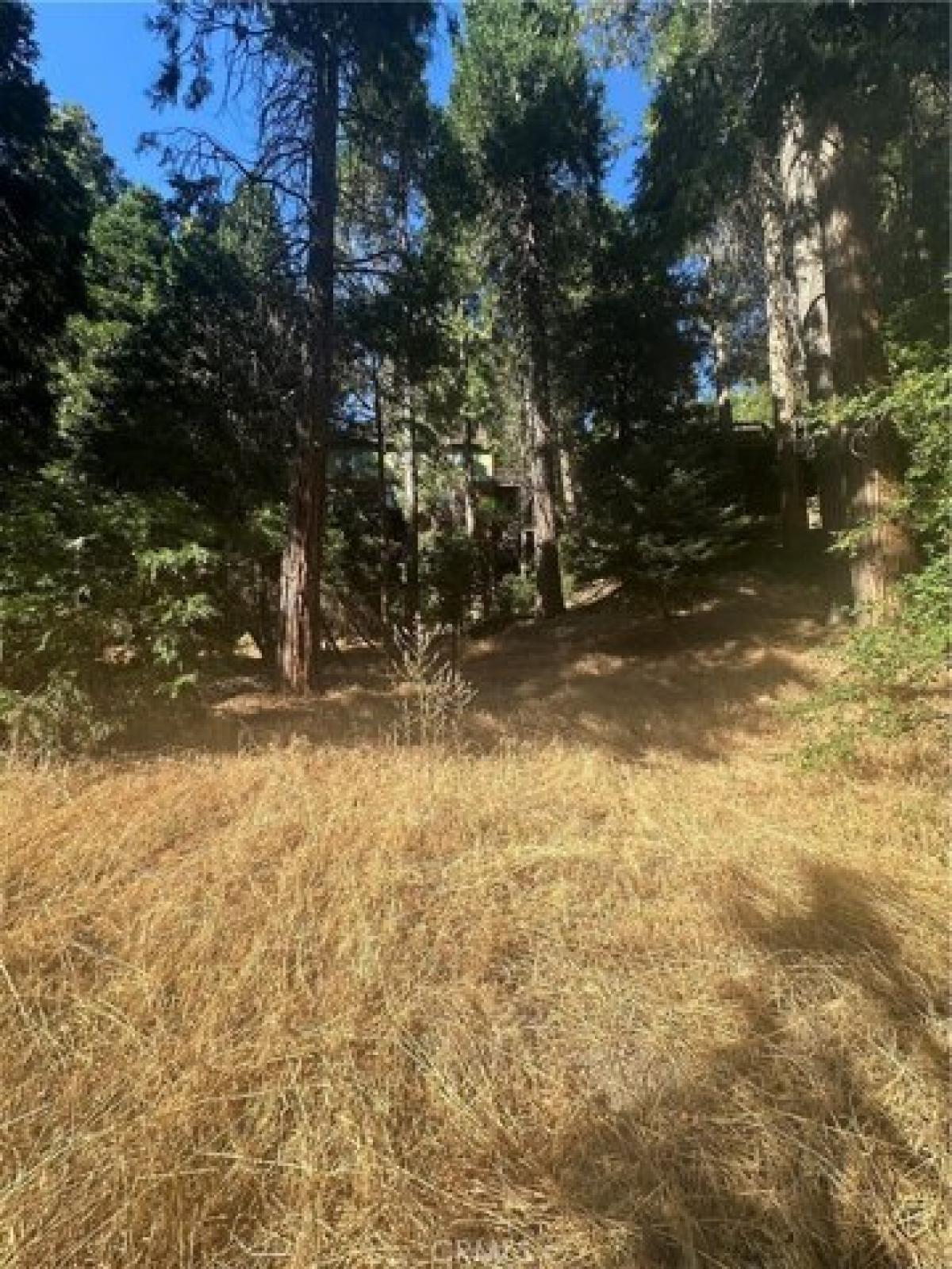 Picture of Residential Land For Sale in Crestline, California, United States