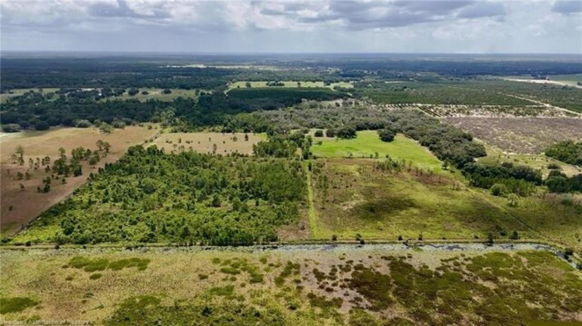 Picture of Residential Land For Sale in Avon Park, Florida, United States