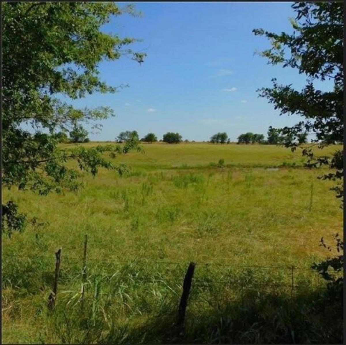 Picture of Residential Land For Sale in Taylor, Texas, United States