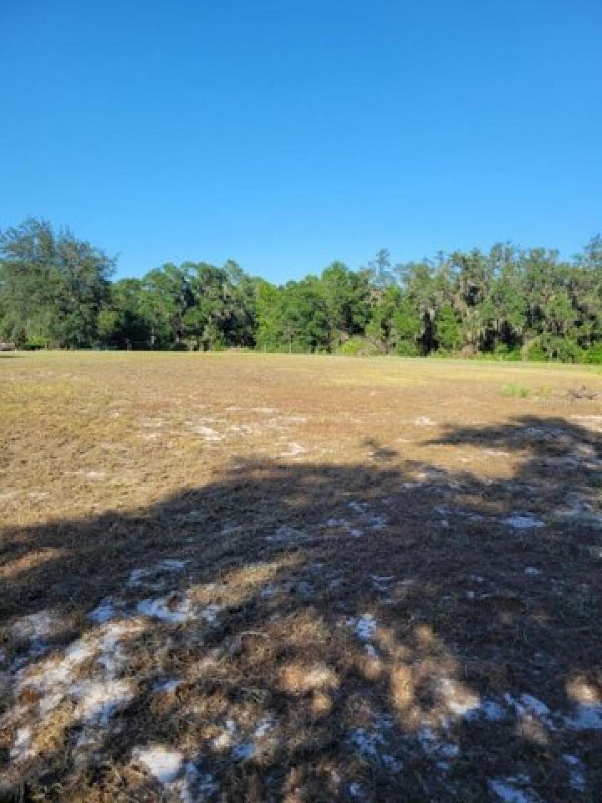 Picture of Residential Land For Sale in Deltona, Florida, United States