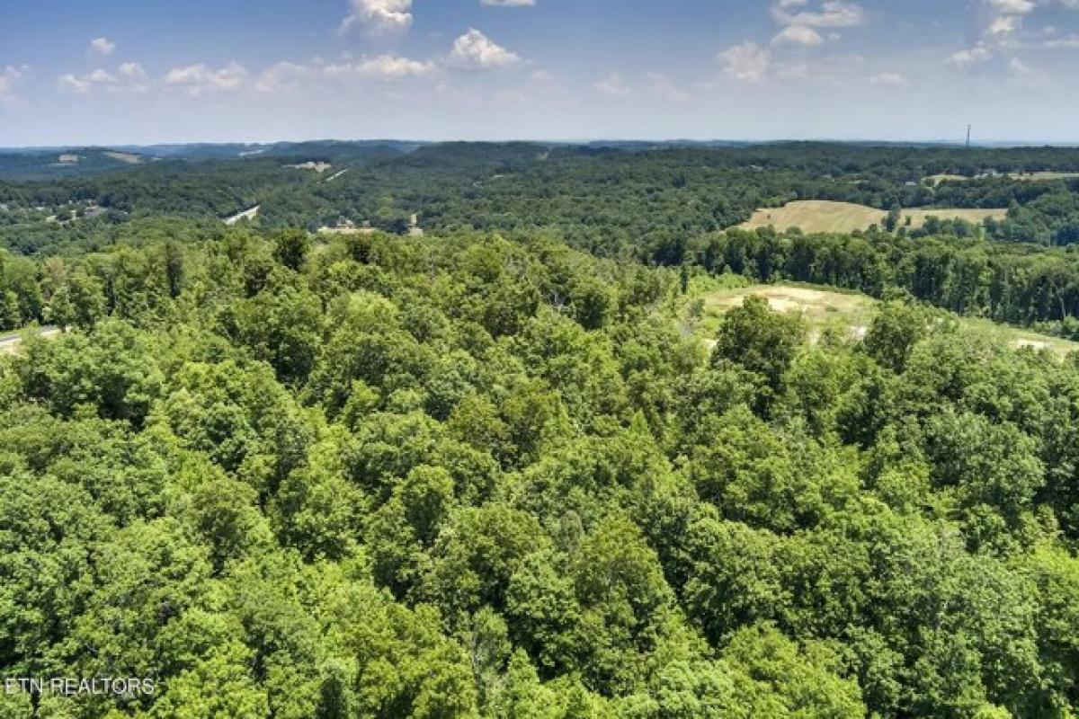 Picture of Residential Land For Sale in Lenoir City, Tennessee, United States