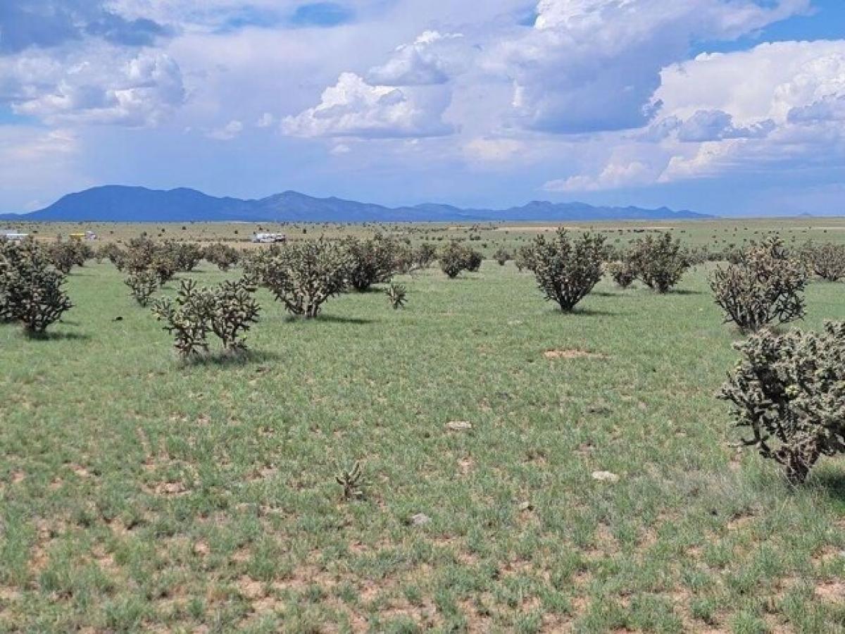 Picture of Residential Land For Sale in Edgewood, New Mexico, United States