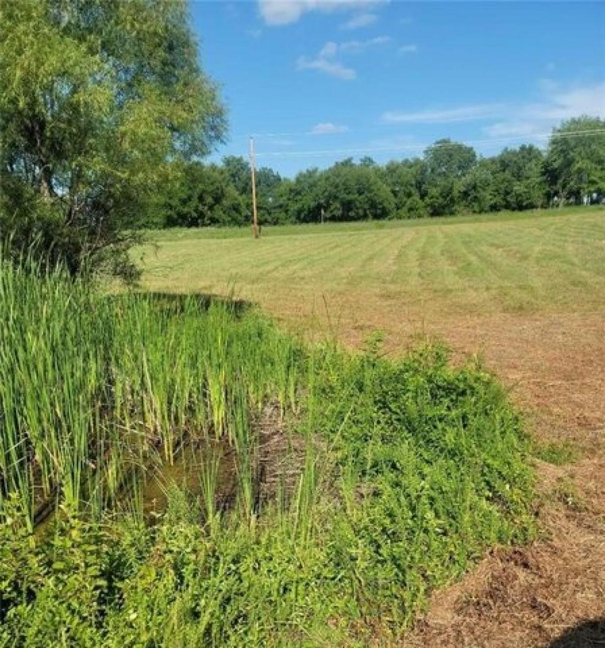 Picture of Residential Land For Sale in Cleveland, Missouri, United States