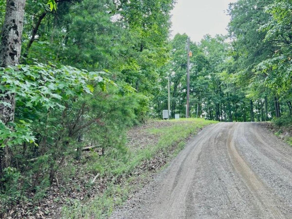 Picture of Residential Land For Rent in Ranger, Georgia, United States