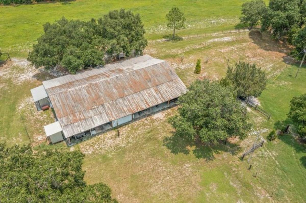 Picture of Home For Sale in Crescent City, Florida, United States