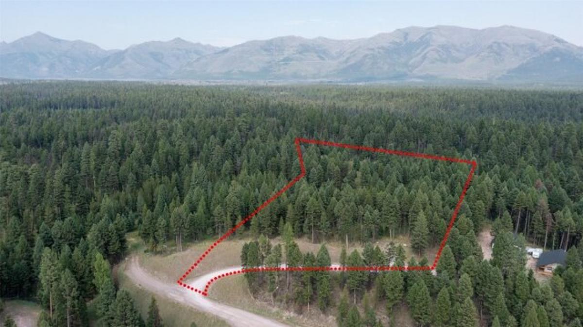 Picture of Residential Land For Sale in Seeley Lake, Montana, United States