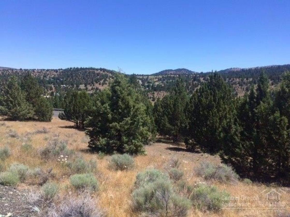 Picture of Residential Land For Sale in Canyon City, Oregon, United States