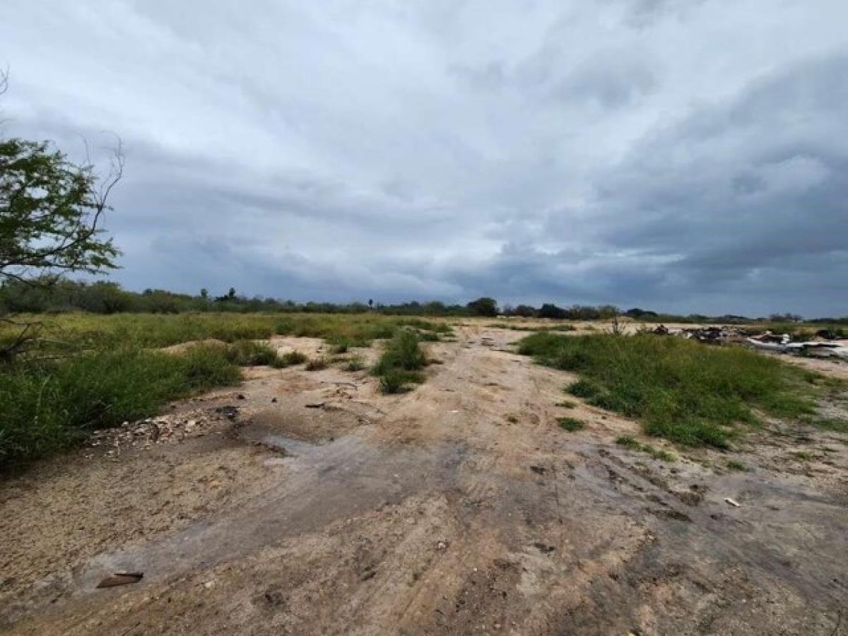 Picture of Residential Land For Sale in Alice, Texas, United States