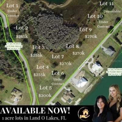 Residential Land For Sale in Land O Lakes, Florida