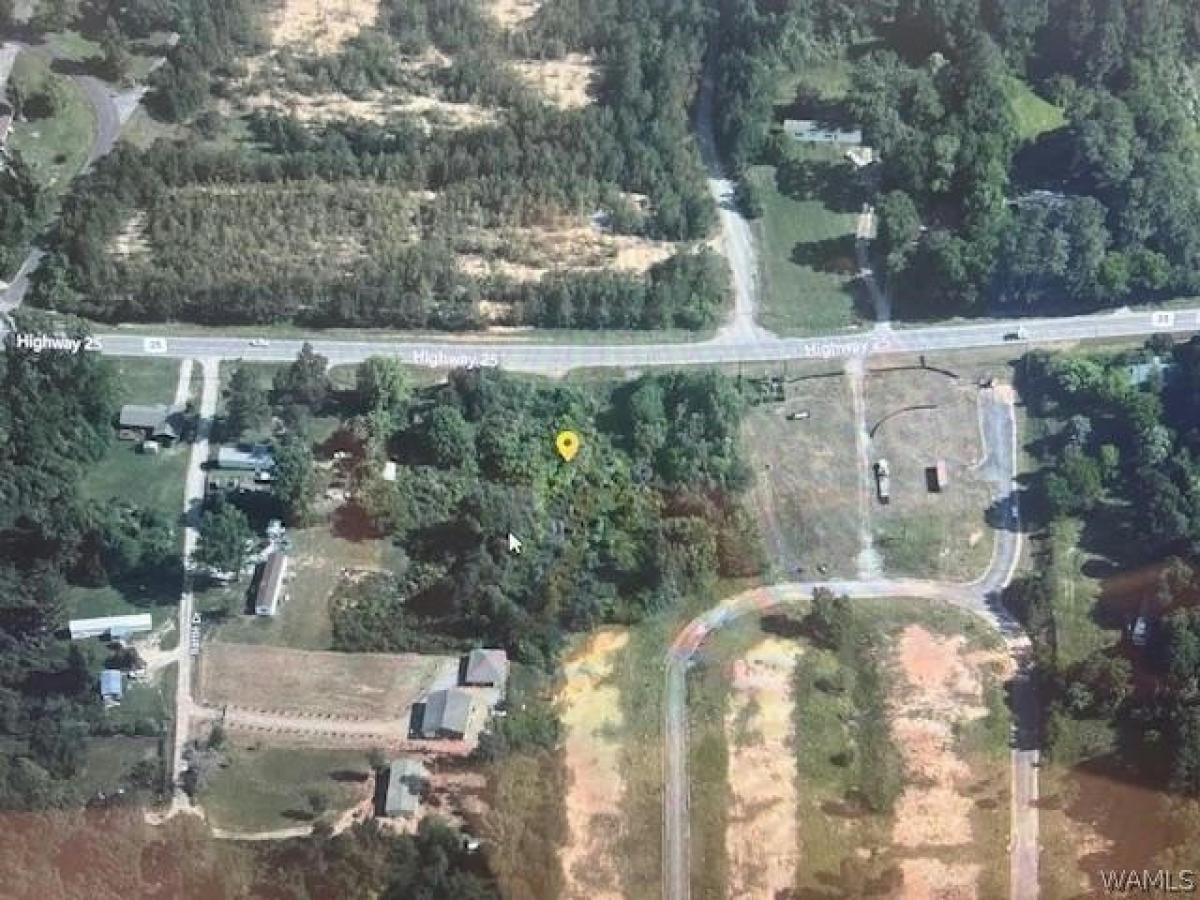 Picture of Residential Land For Sale in Montevallo, Alabama, United States