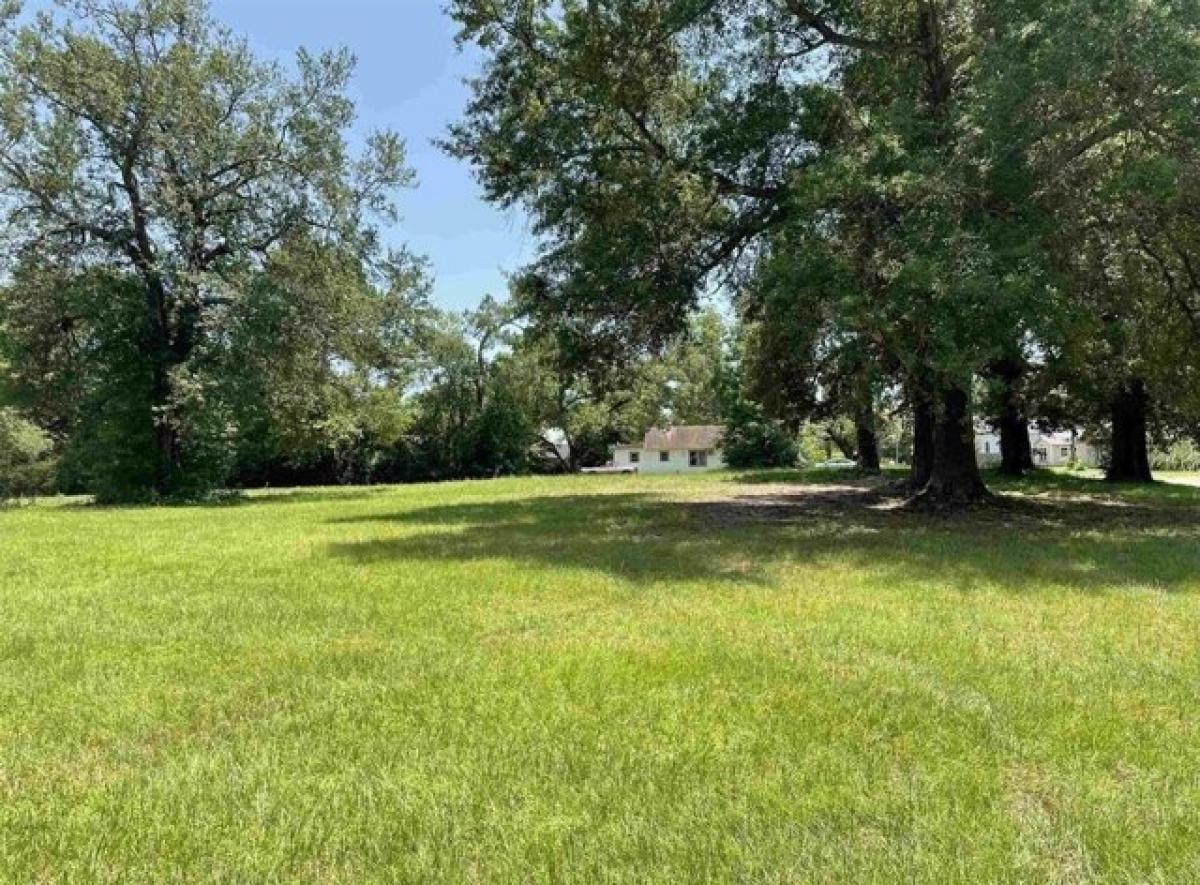 Picture of Residential Land For Sale in Pittsburg, Texas, United States