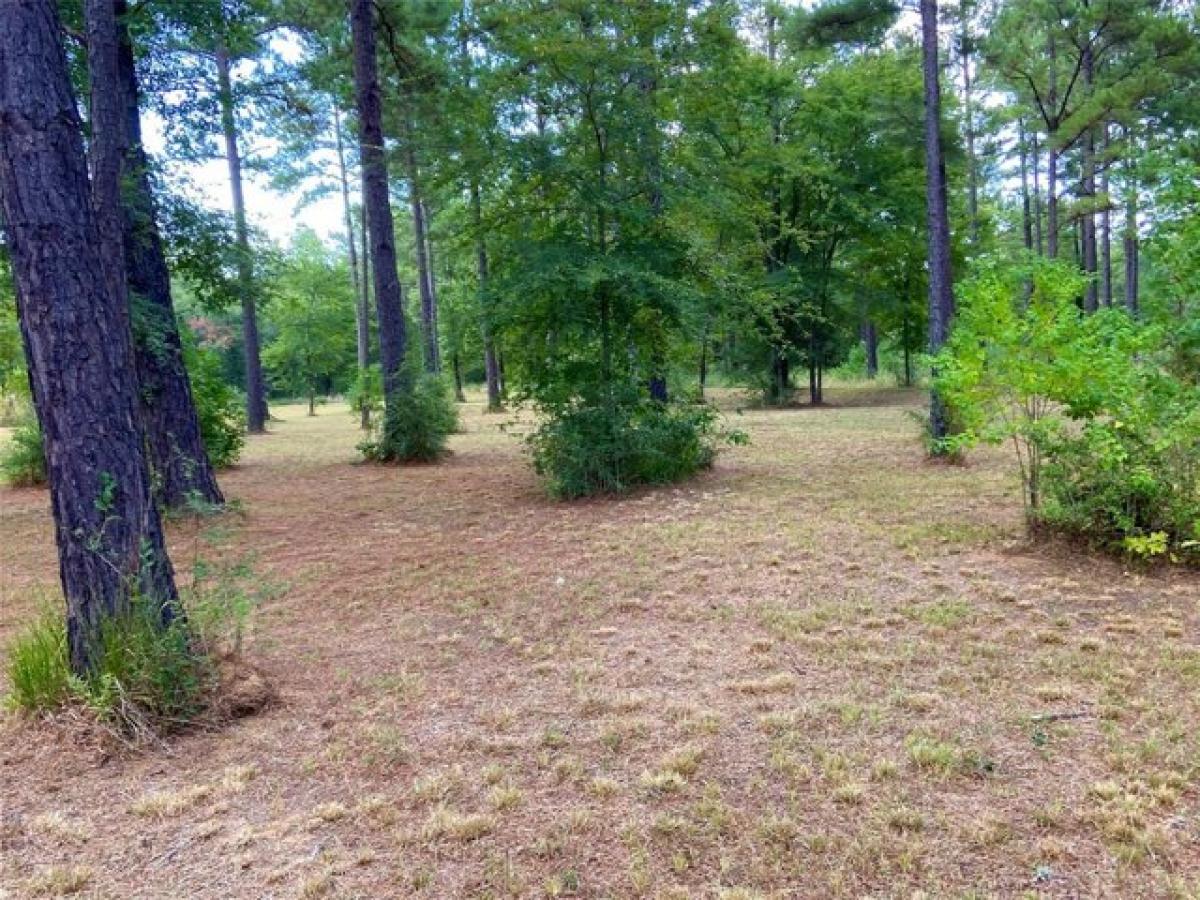 Picture of Residential Land For Sale in Crockett, Texas, United States