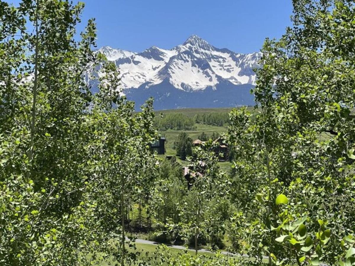 Picture of Residential Land For Sale in Mountain Village, Colorado, United States