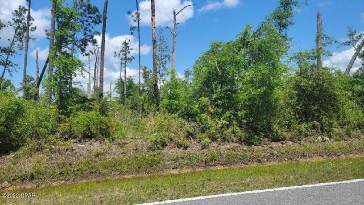 Picture of Residential Land For Sale in Youngstown, Florida, United States