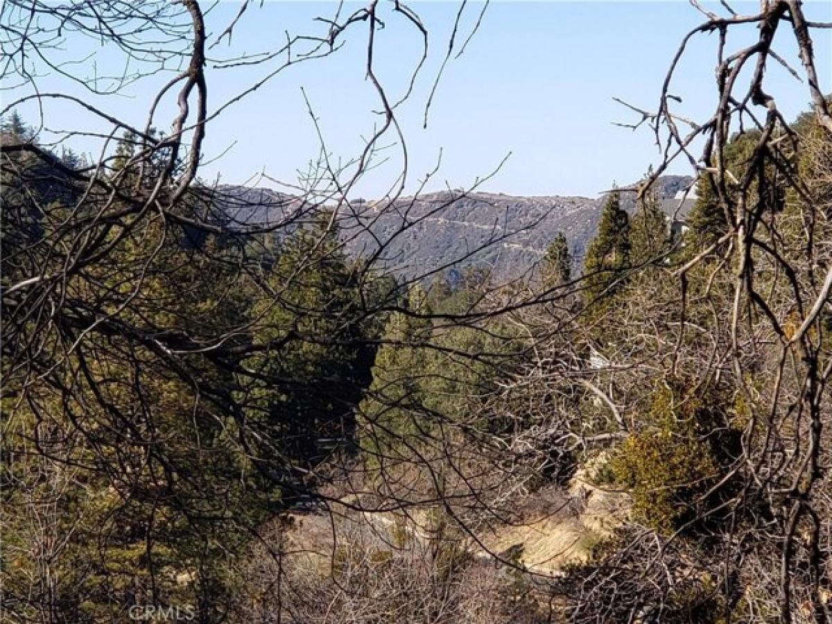 Picture of Residential Land For Sale in Crestline, California, United States