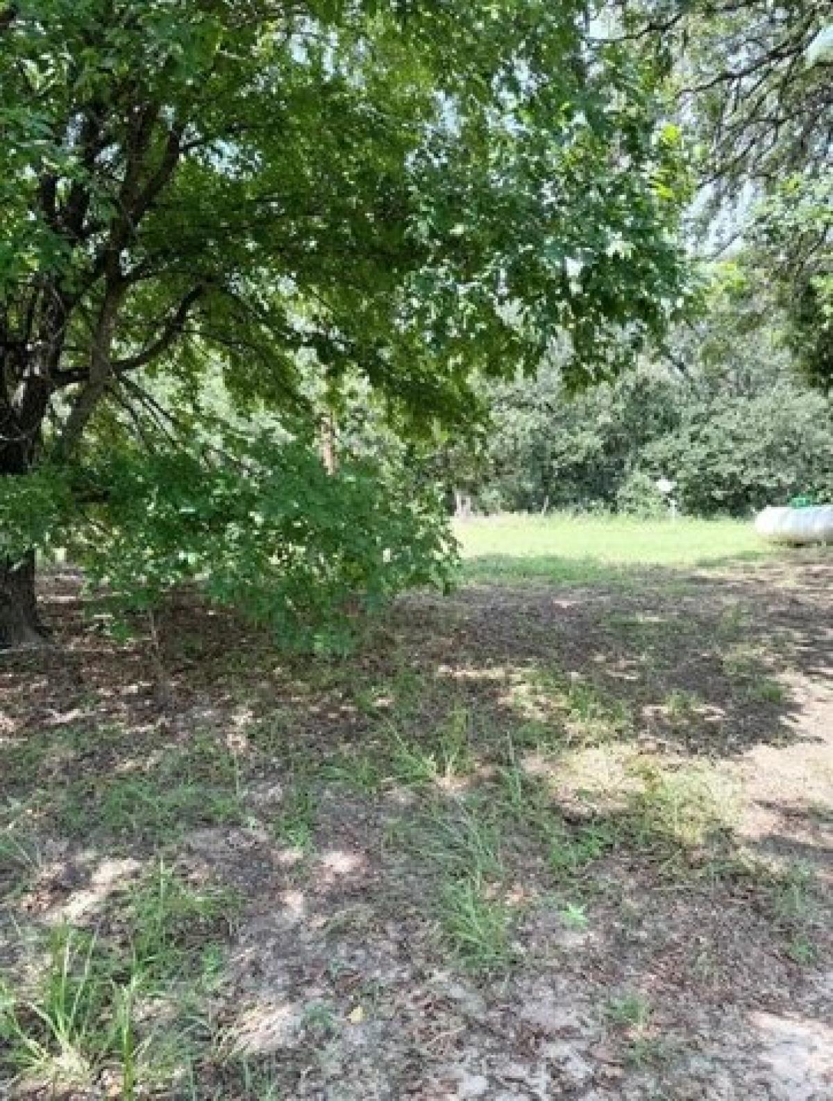 Picture of Residential Land For Sale in Elgin, Texas, United States