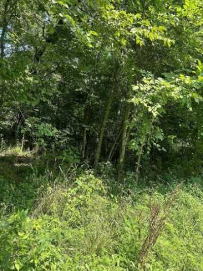 Residential Land For Rent in Shoals, Indiana