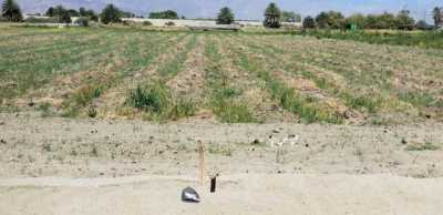 Residential Land For Sale in Thermal, California