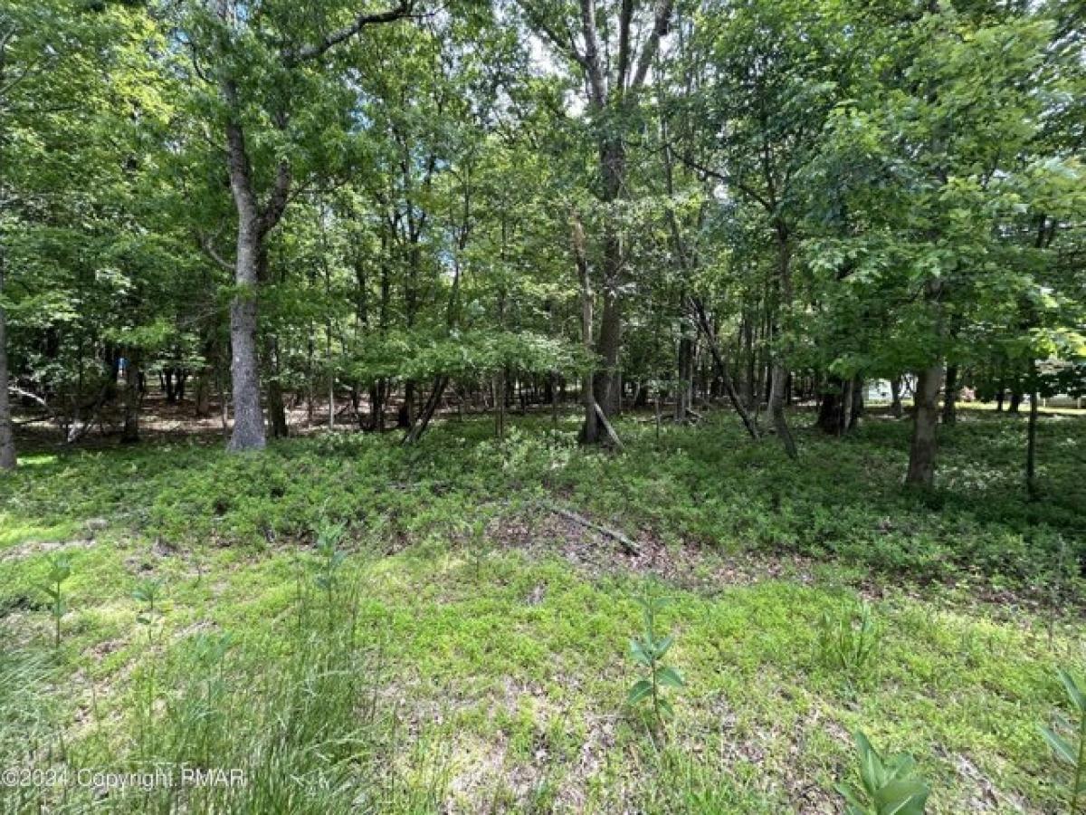 Picture of Residential Land For Sale in Albrightsville, Pennsylvania, United States