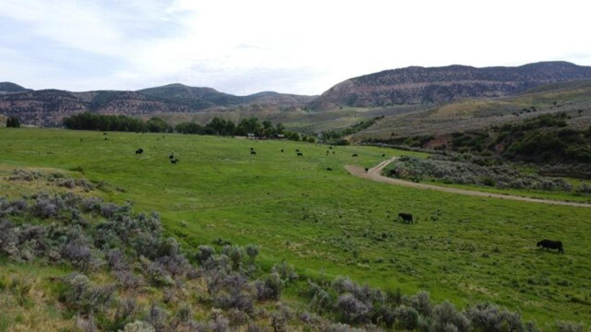 Picture of Home For Sale in Hamilton, Colorado, United States