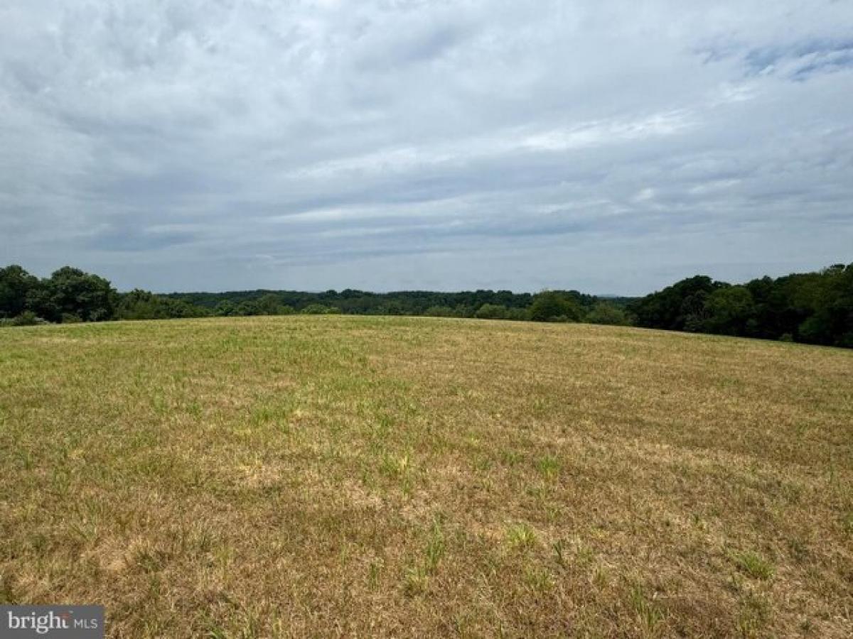 Picture of Residential Land For Sale in Boyce, Virginia, United States