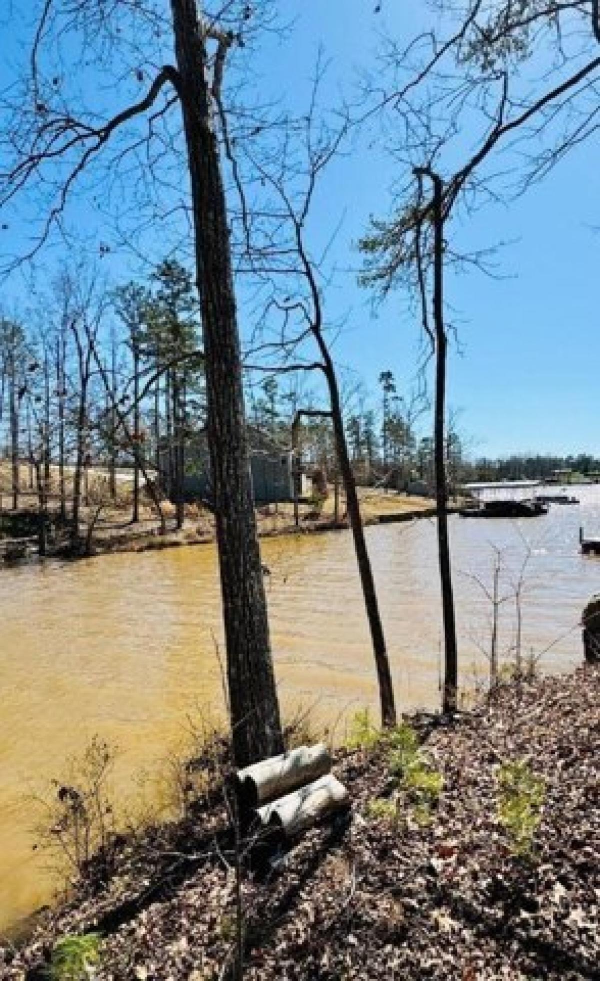 Picture of Residential Land For Sale in Abbeville, South Carolina, United States