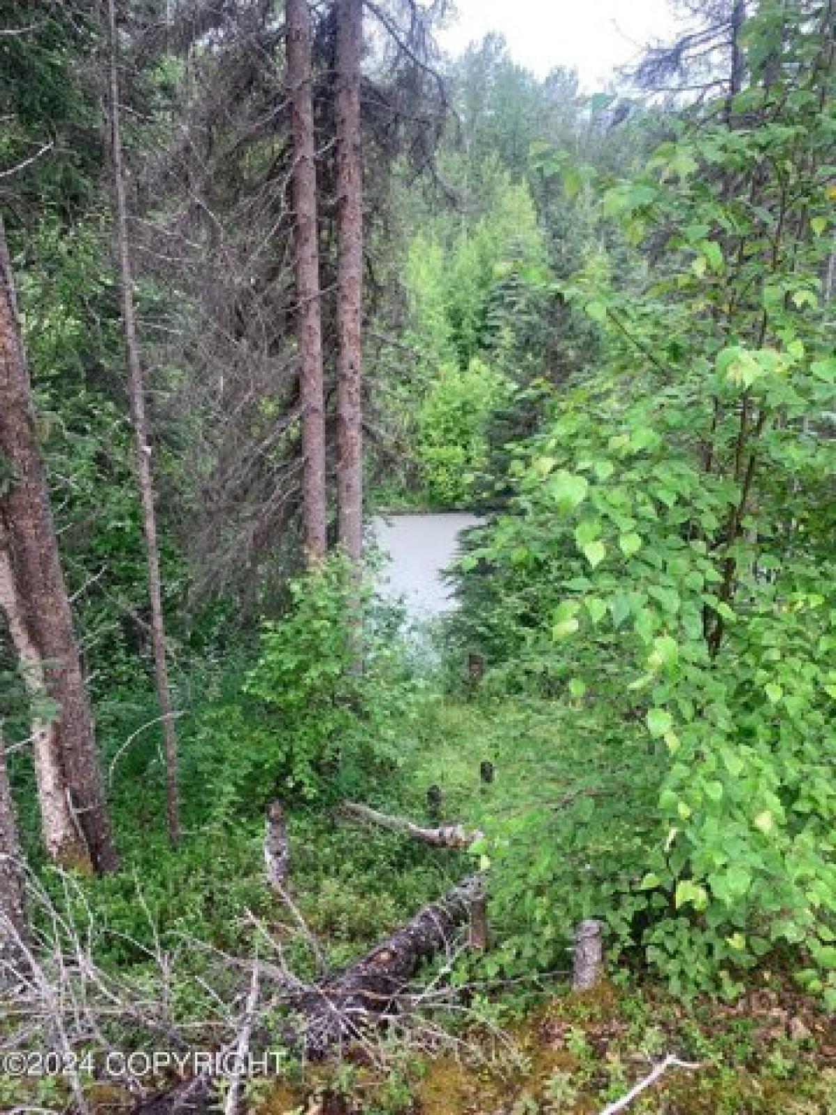 Picture of Residential Land For Sale in Willow, Alaska, United States