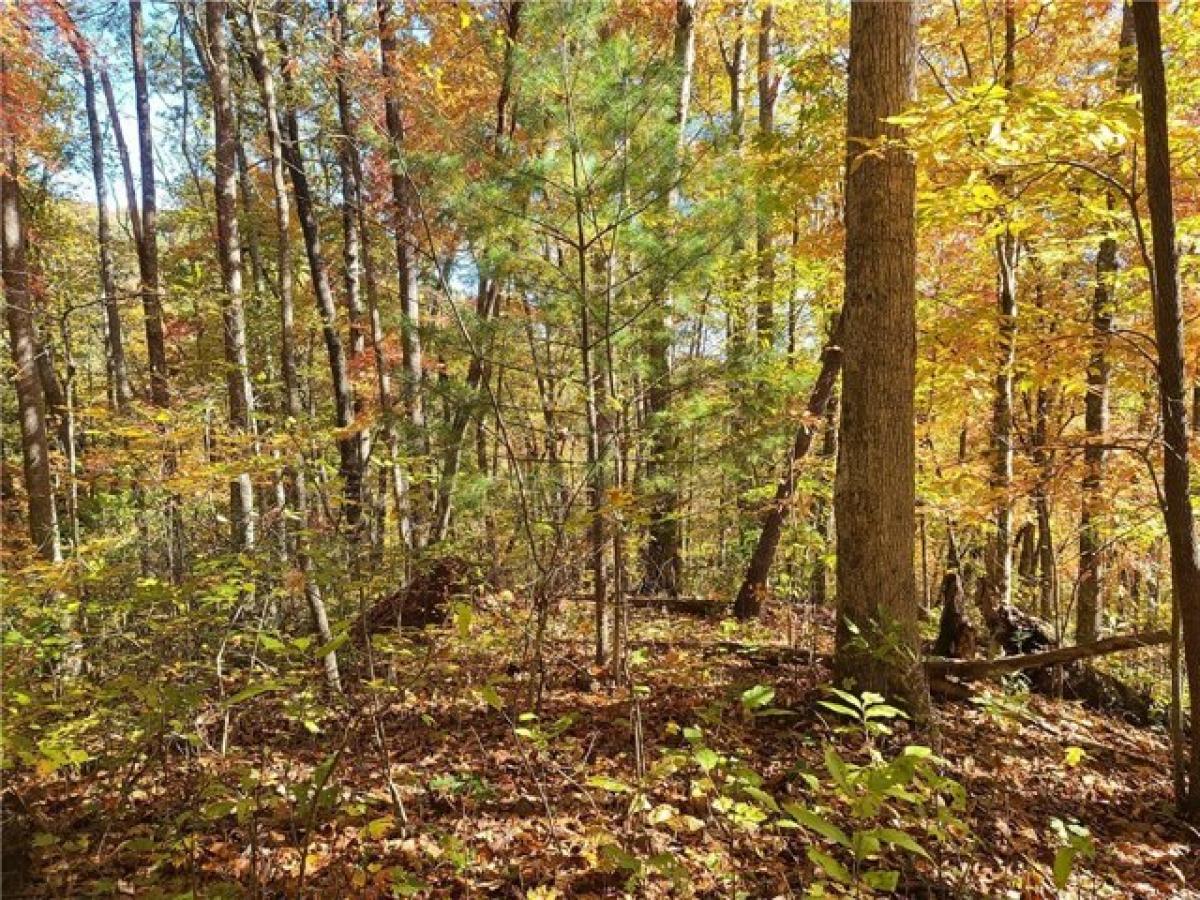 Picture of Residential Land For Sale in Sylva, North Carolina, United States