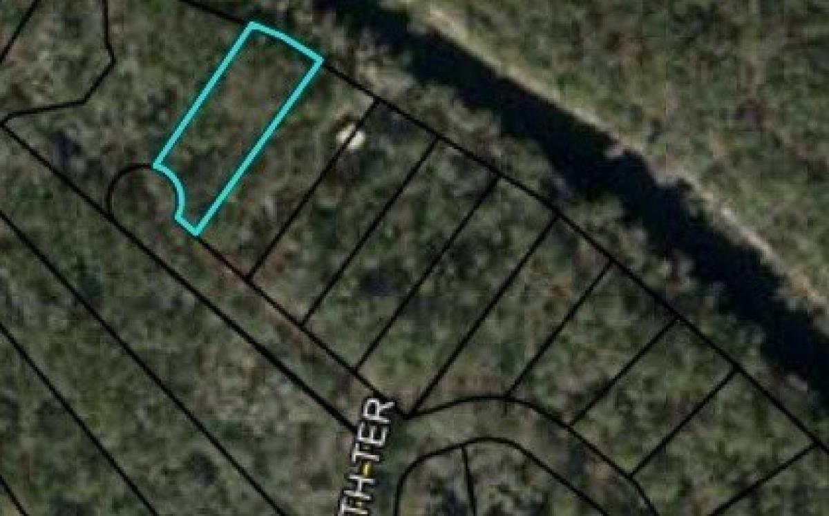 Picture of Residential Land For Sale in White Springs, Florida, United States