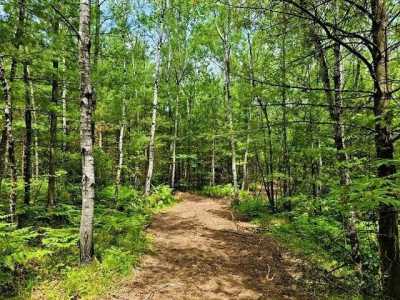 Residential Land For Sale in Harshaw, Wisconsin