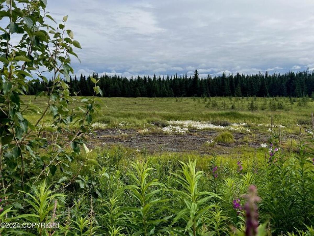 Picture of Residential Land For Sale in Anchor Point, Alaska, United States