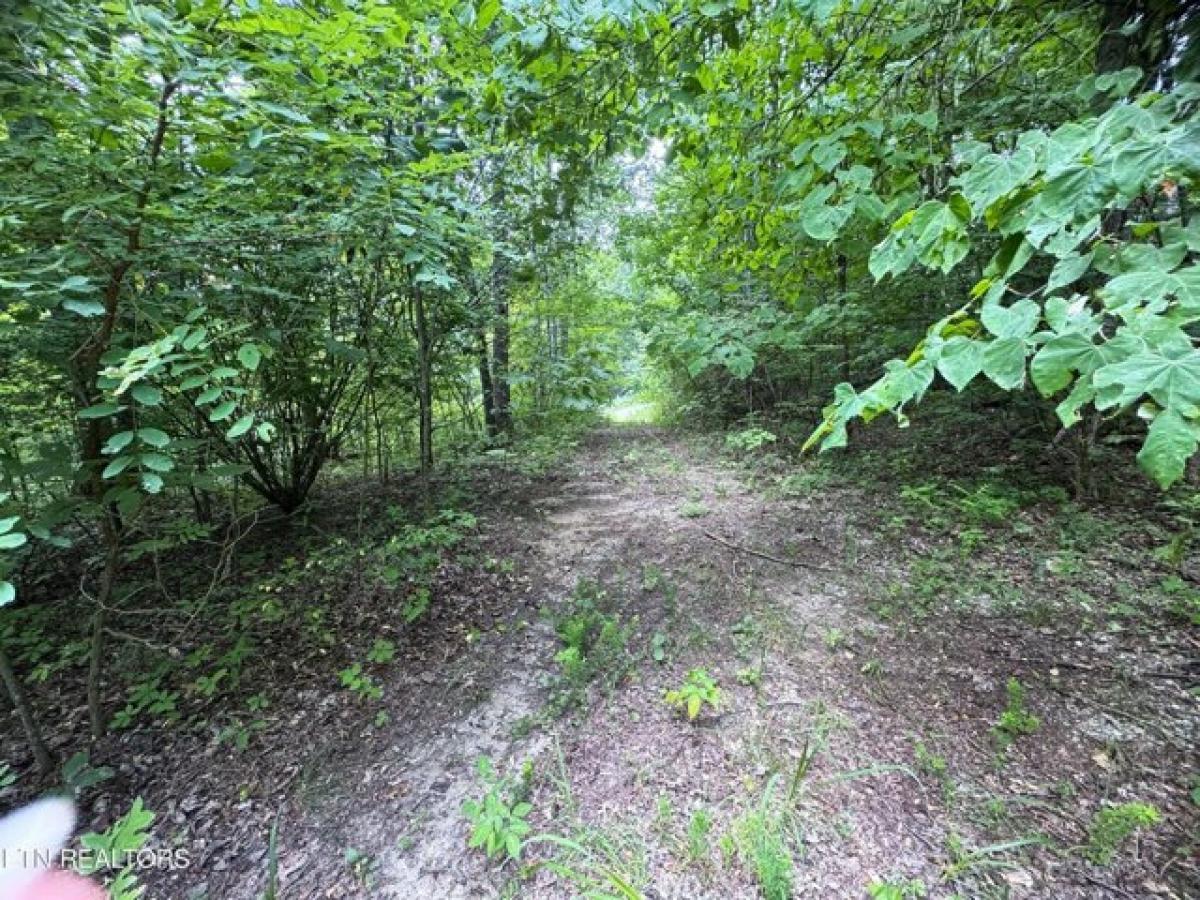 Picture of Residential Land For Sale in Newport, Tennessee, United States