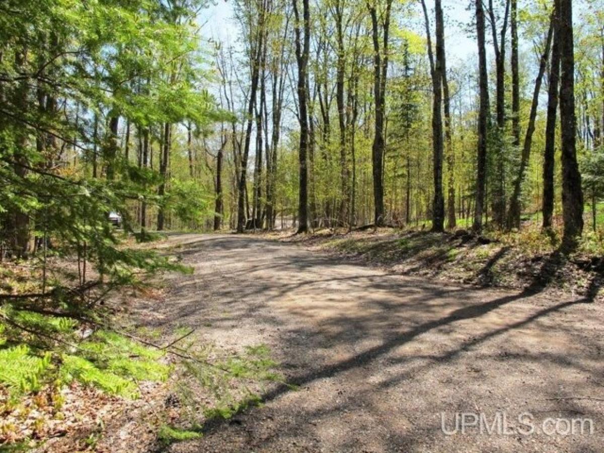 Picture of Residential Land For Sale in Marenisco, Michigan, United States