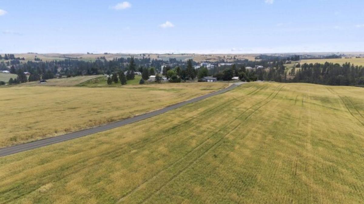 Picture of Residential Land For Sale in Rockford, Washington, United States