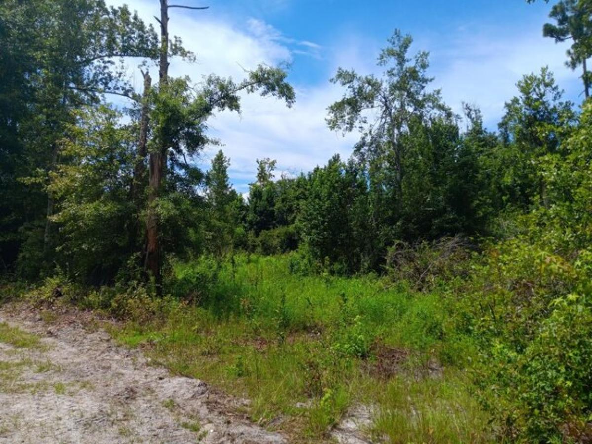 Picture of Residential Land For Sale in Fountain, Florida, United States