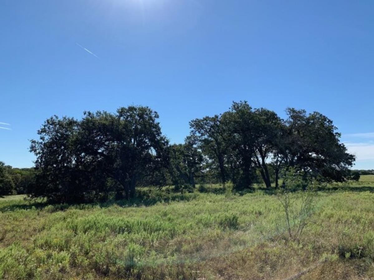 Picture of Residential Land For Sale in Normangee, Texas, United States