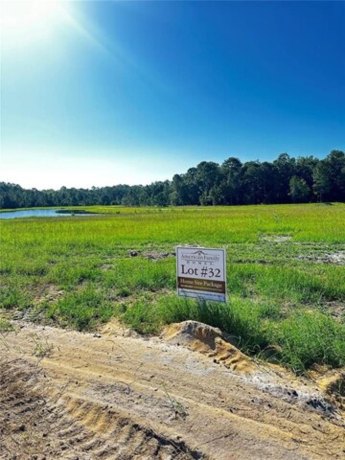 Picture of Residential Land For Sale in Umatilla, Florida, United States