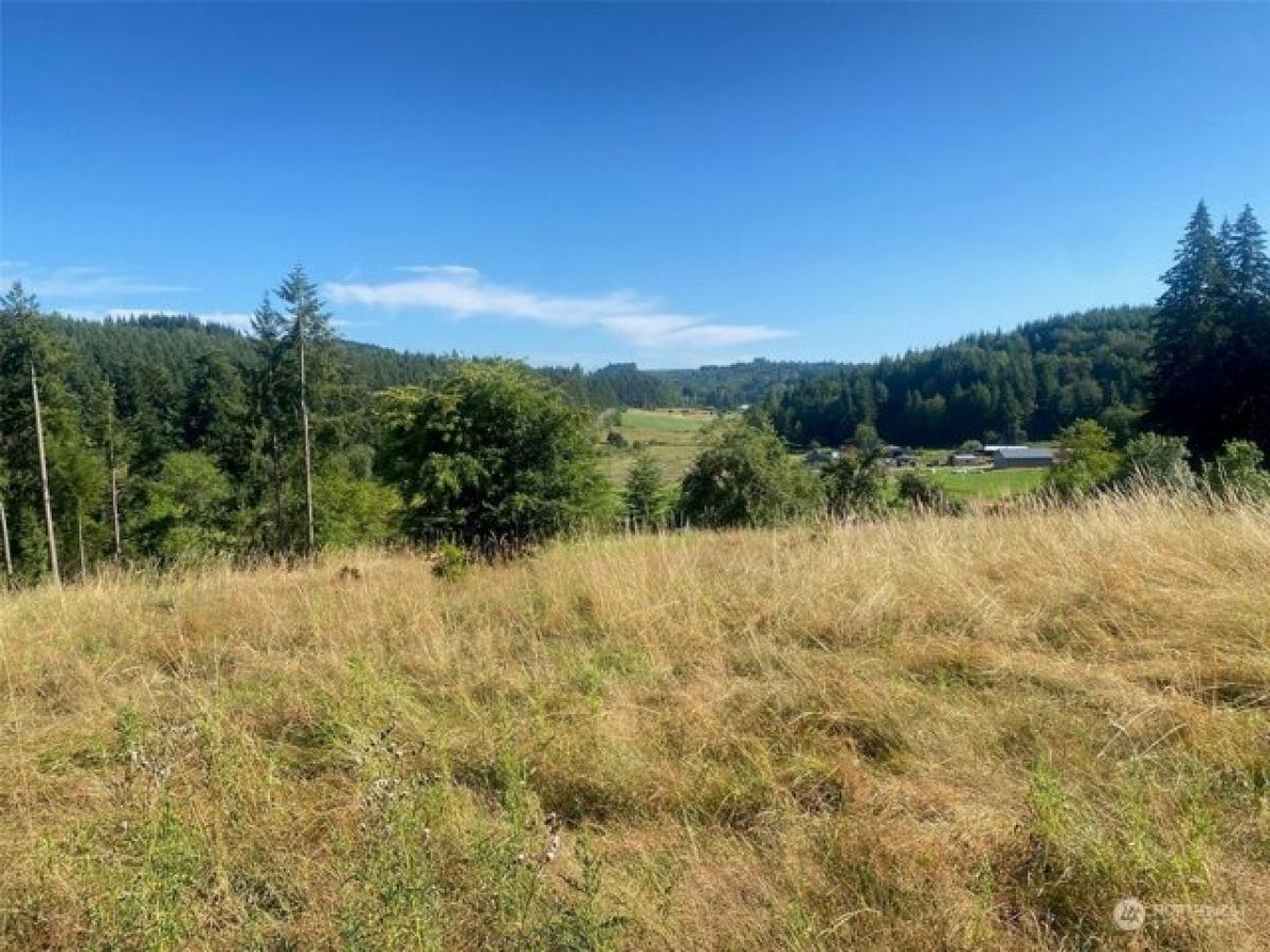 Picture of Residential Land For Sale in Centralia, Washington, United States