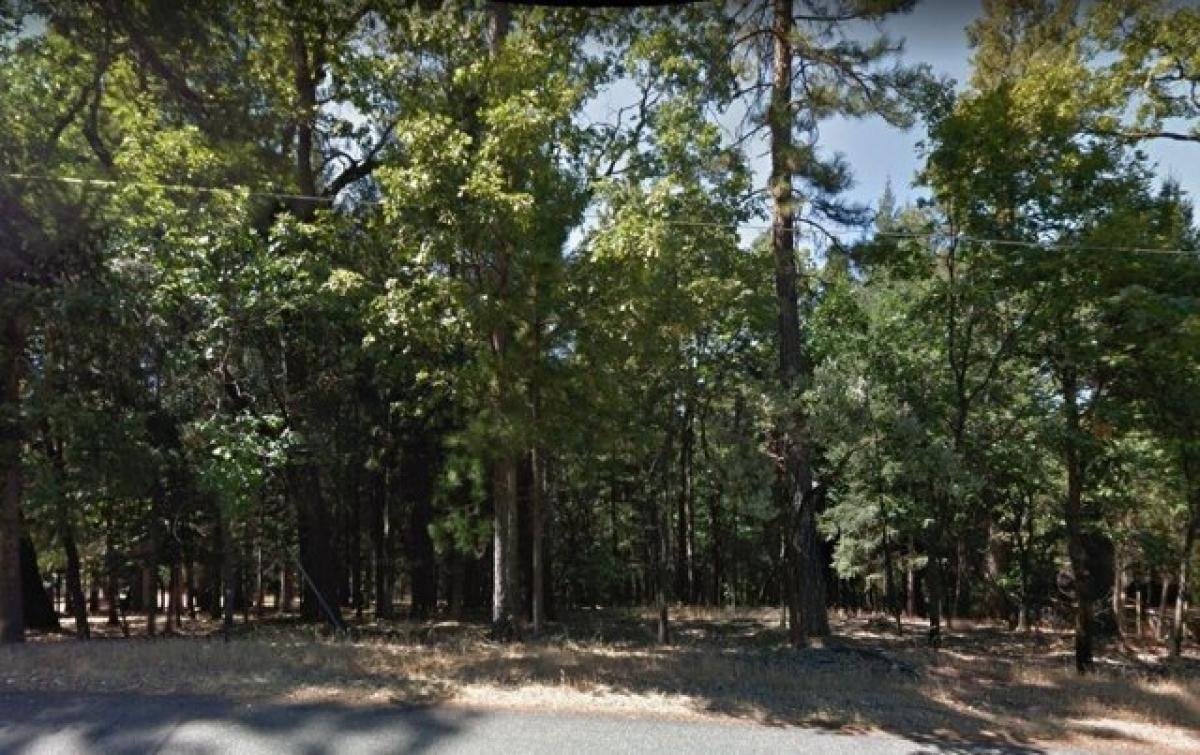 Picture of Residential Land For Sale in Foresthill, California, United States