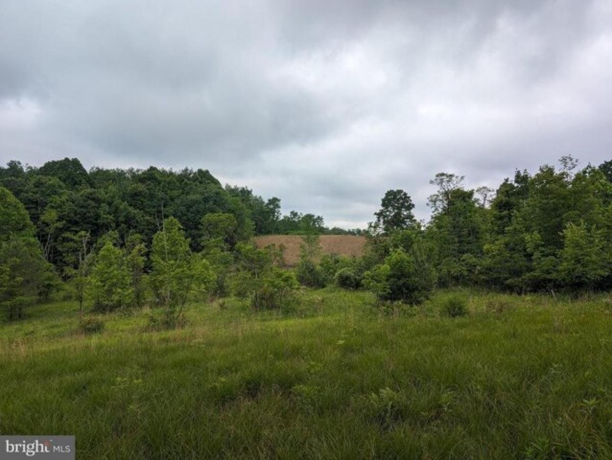 Picture of Residential Land For Sale in Johnstown, Pennsylvania, United States