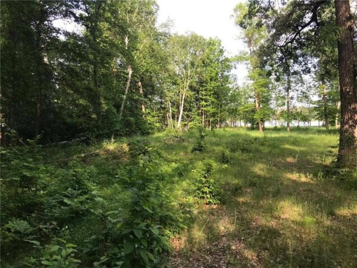 Picture of Residential Land For Sale in Park Rapids, Minnesota, United States