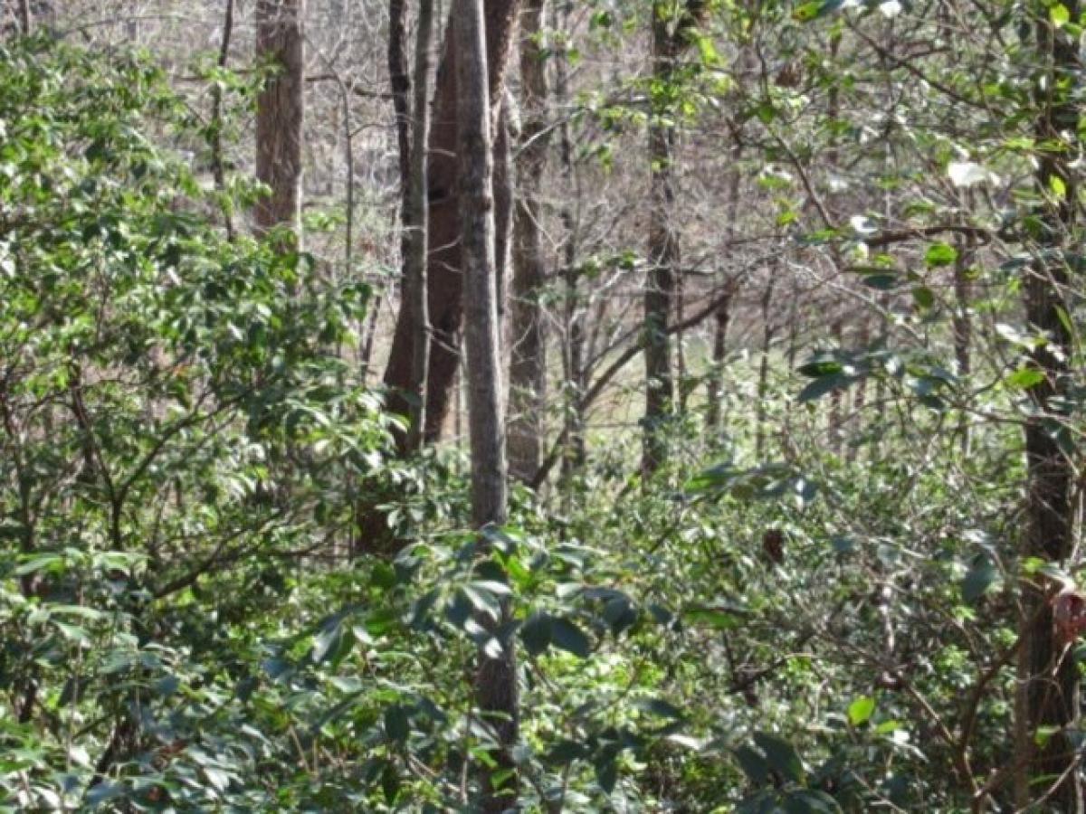 Picture of Residential Land For Sale in Pickens, South Carolina, United States