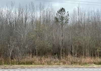 Residential Land For Sale in Townsend, Georgia