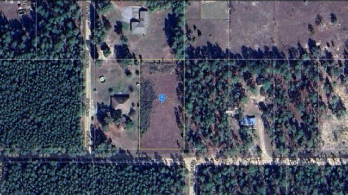 Picture of Residential Land For Sale in Williston, Florida, United States