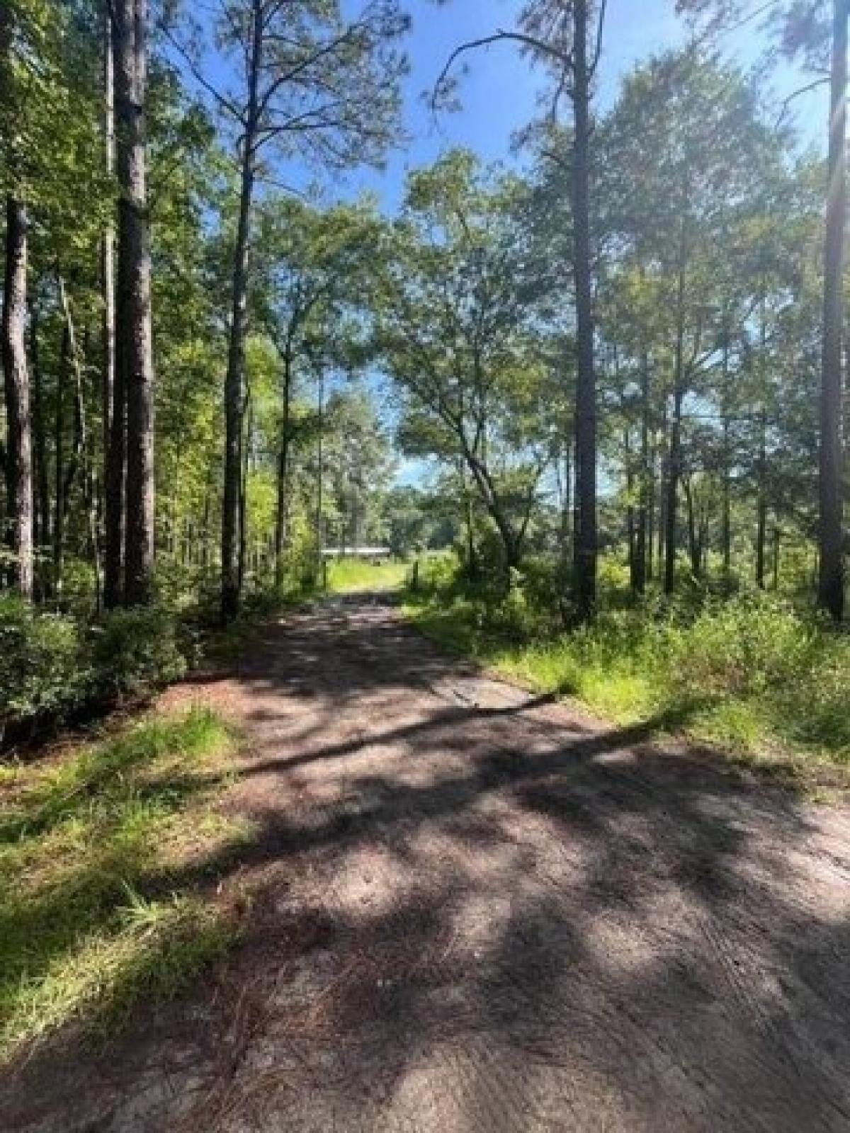 Picture of Home For Sale in Townsend, Georgia, United States