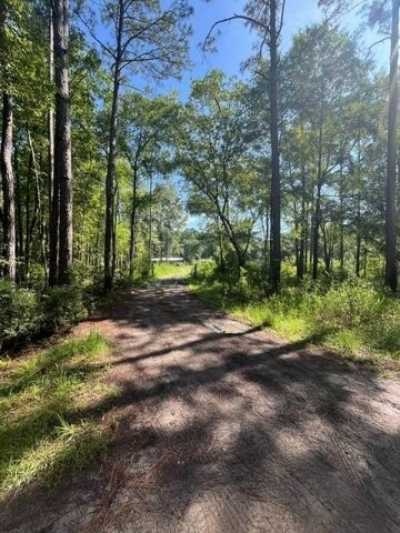 Home For Sale in Townsend, Georgia