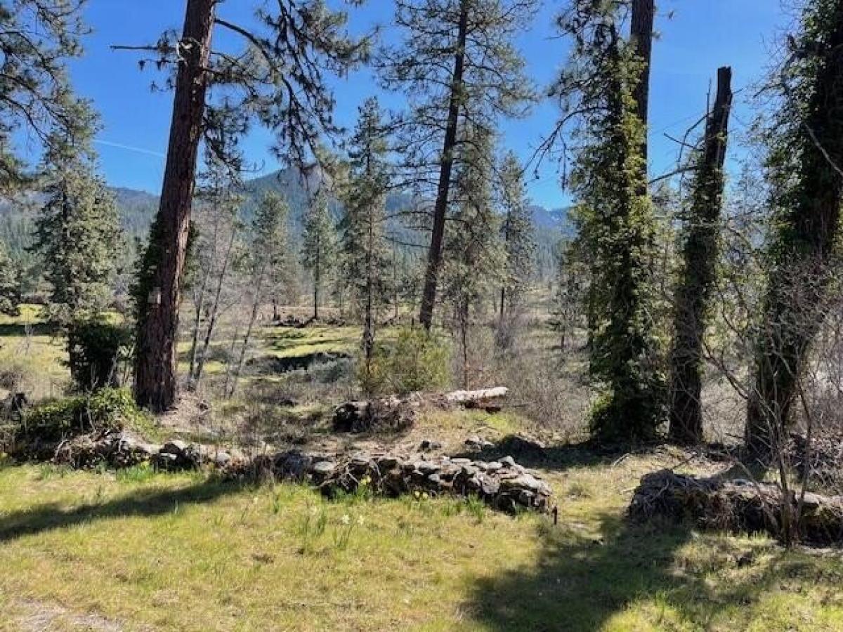 Picture of Residential Land For Sale in Jacksonville, Oregon, United States