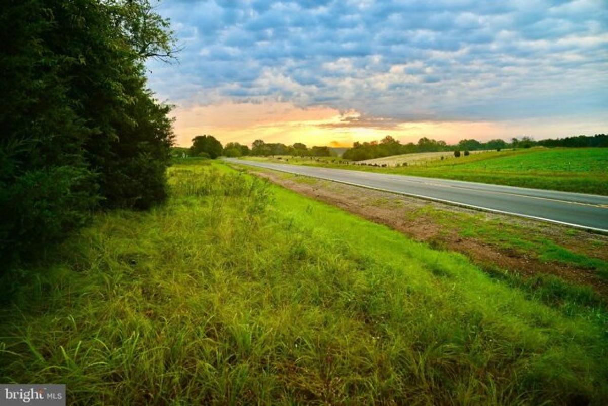 Picture of Residential Land For Sale in Spotsylvania, Virginia, United States